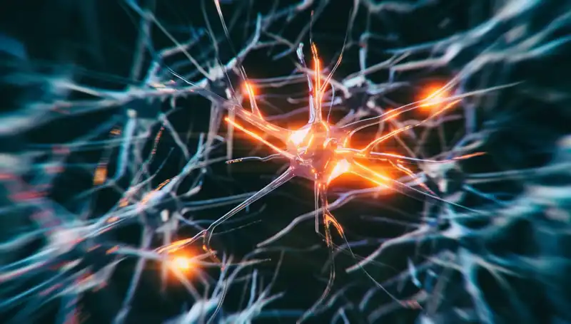 Alzheimer Vakalarındaki Artış: Nedenleri ve Sonuçları Üzerine Derinlemesine İnceleme