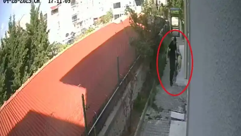 Veteriner Doktorun Sahiplendiği Köpekleri Katletmesi Şok Etti
