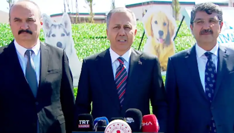 Sokak Köpekleri Tartışması: İçişleri Bakanlığı'nın 81 İle Gönderdiği Müfettişler