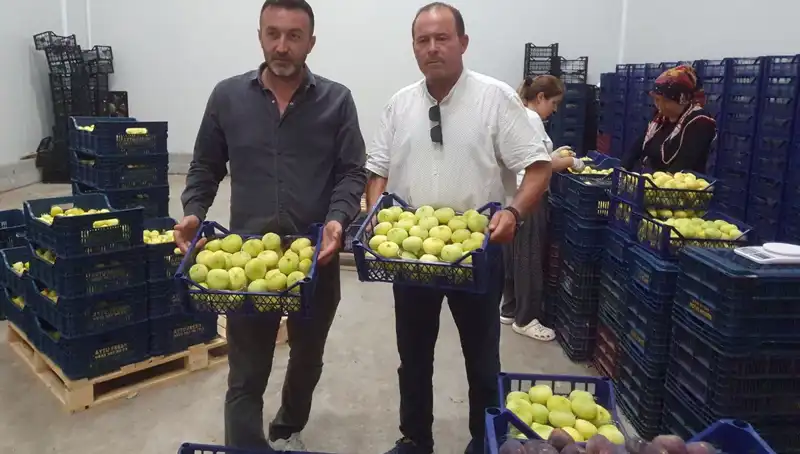 Mersinli Çiftçilerin Ekonomik Dönüşümü: Psikolojide Olumlu Etkileri