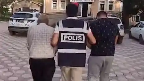Köpek Dövüştürenlere Yönelik Operasyon: Gözaltılar ve Son Gelişmeler