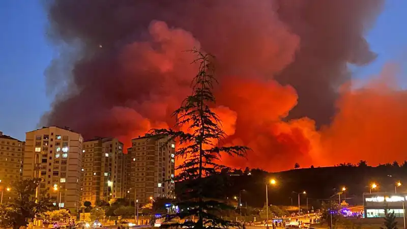 Bursa'da Yangınlar: Şehrin Gözdesi Alevlere Teslim Oluyor