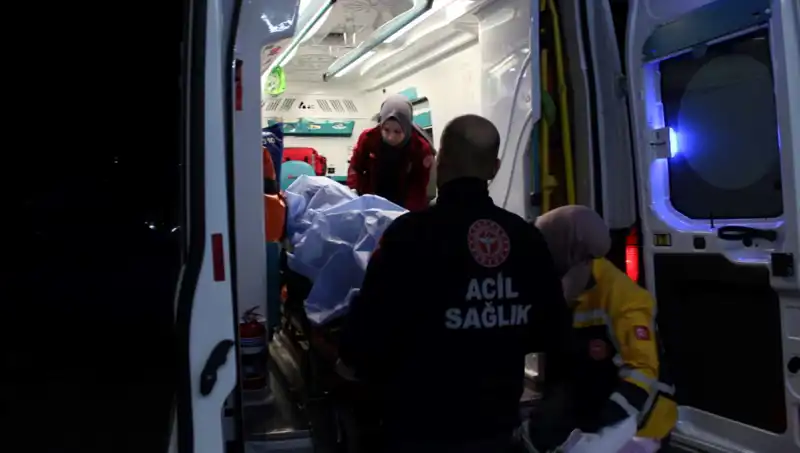 Küfürleşme Kavgası: Psikolojik Etkileri ve Çığır Açıcı Araştırmalar
