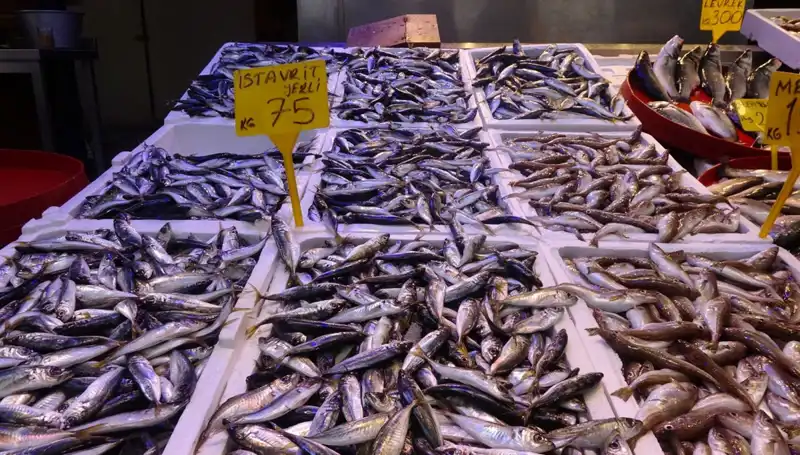 Balık Sezonu Sona Ererken, Psikoloji Hangi İlginç Etkileri Getiriyor?