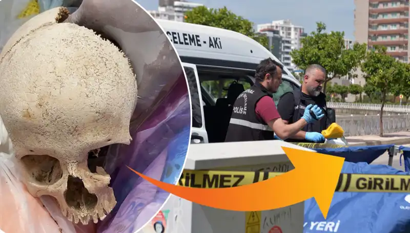 Çöp Torbasında Bulunan Kafatası Şok Etti: Uzman Doktor Gözaltında