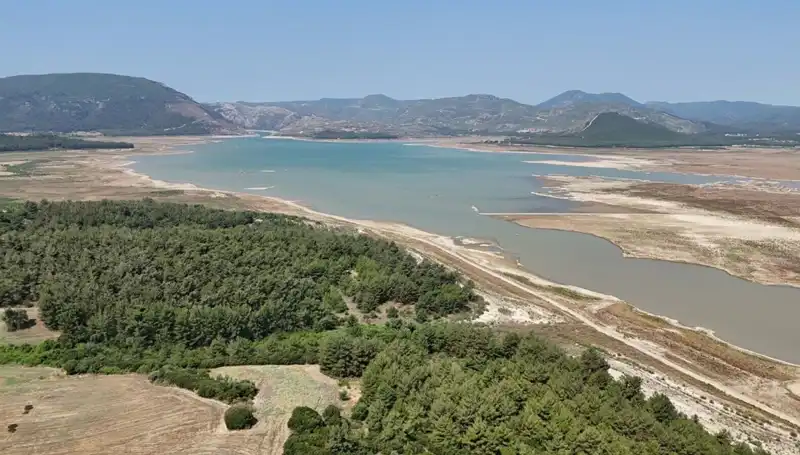 İzmir'de Psikolojik Belirtiler Artıyor: Yüzde 50'lik Çöküş Ne Anlama Geliyor?