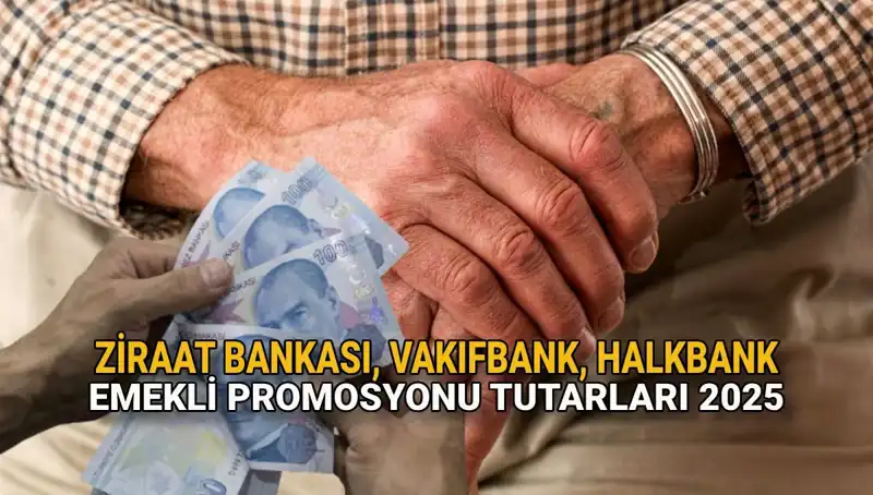Emekliler İçin Promosyonlar: 2025’te Kamu Bankalarından Beklentiler