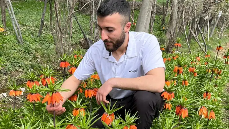 Ağlayan Gelin: Doğanın Hassas Güzelliği ve Onun Korunması İçin Önlemler