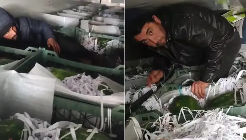 Karpuzların Arasında Göçmenler: Sınırdakinin Ötesinde Bir Gerçek