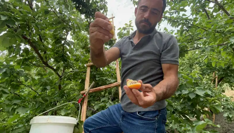 Damakları Şenlendiren Lezzet: 50 TL ile 70 TL Arası Hedef Kitlesiyle İlgiyi Üzerine Çekiyor!