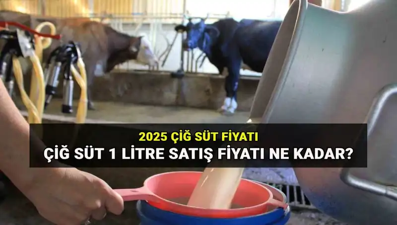 2025 Yılında Çiğ Süt Fiyatları ve Psikolojik Etkileri: Tüketici Davranışları Ne Yönde Değişecek?