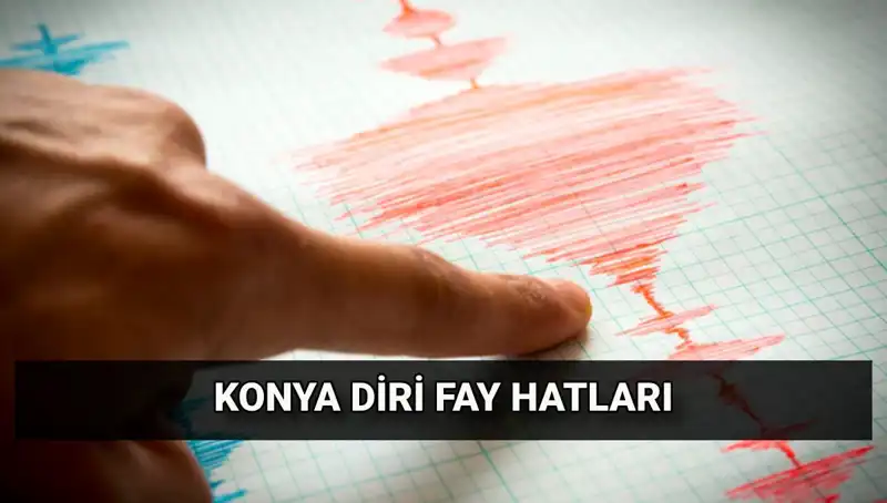 Konya'da Fay Hattı Var mı? Deprem Riski Hakkında Bilmeniz Gerekenler