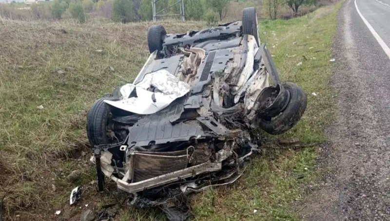 Yola Fırlayan Domuz Kazası: Hayat Kırıcı Sonuçları
