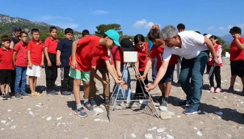 Kemer'de Caretta Caretta Koruma Yasakları: Denizdeki Canlıların Geleceği İçin Bir Adım