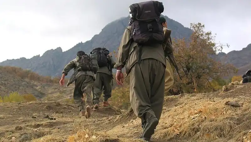 Türkiye'nin Geleceği: PKK Fesih Kararı Psikolojik Etkileri ve İlgili Dinamikler
