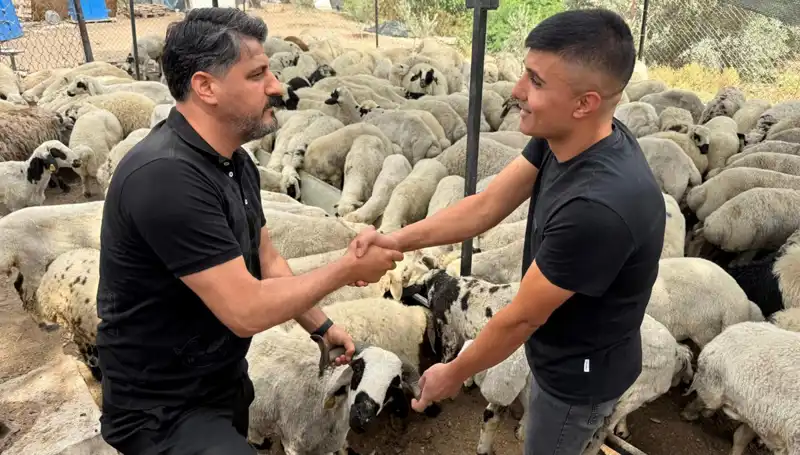 Kurbanlık Seçiminde Tuz ve Sumak Dikkat Çekiyor: Şişkin Yüzler Sorun Olabilir!