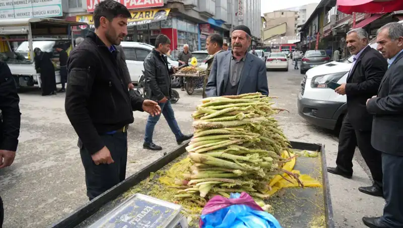 Şekerin Sağlığa Faydaları: Kanser ve Mide Hastalıklarında Etkisi Nedir?