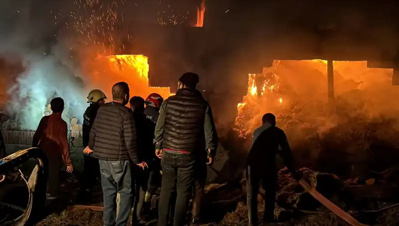 Bolu’da Gizemli Ahır Yangını: Psikolojik Etkileri ve Toplumsal Yansımaları