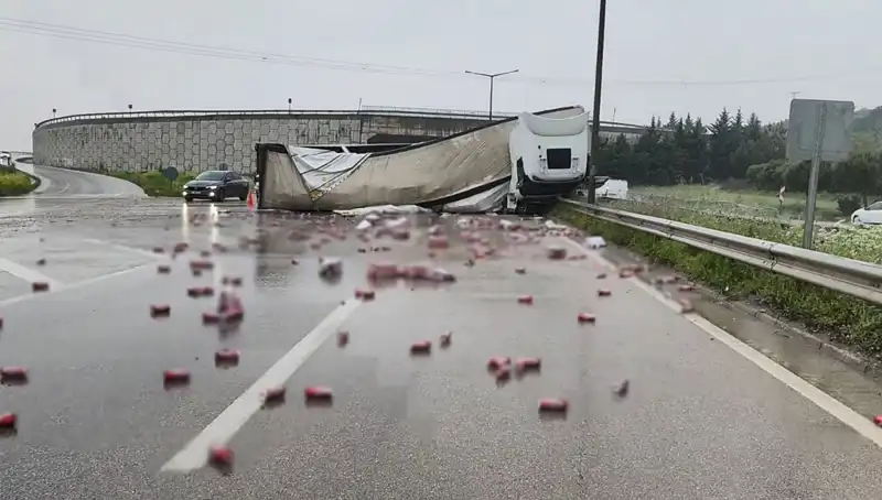 TIR Devrildi, İçkiler Yola Saçıldı: Psikolojik Etkileri