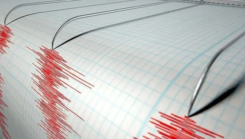 Yeni Zelanda'da 6,7 Büyüklüğündeki Deprem: Psikolojik Etkileri ve Tepkiler
