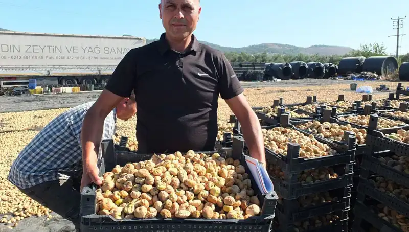 Balıkesir’den Gelen Taze Hava: Balık İhracatı Çin ve Rusya’ya Uzanıyor