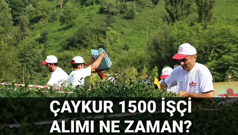 Çaykur İşçi Alımı Başvuru Tarihleri ve Süreci Hakkında Bilmeniz Gerekenler