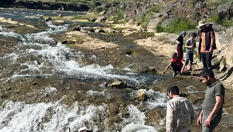 İnci Kefalinin Göçü: Doğanın Harikası Şimdi de Psikolojik Bir Turizm Çekim Noktası!