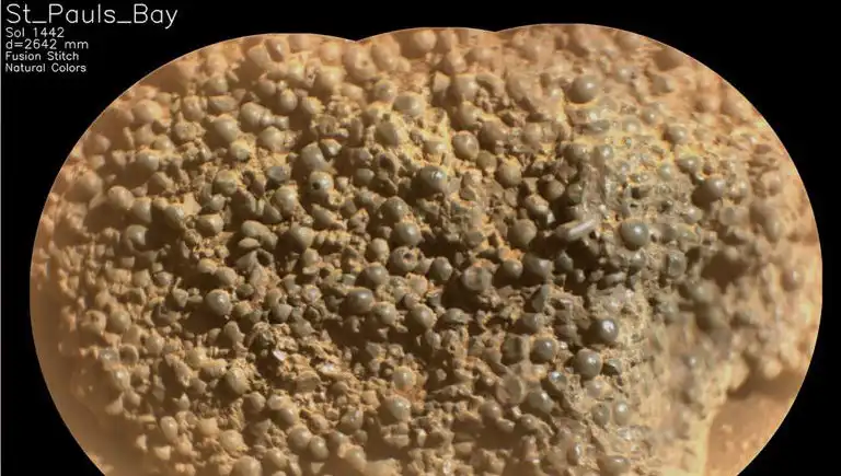 Mars'ta Örümcek Yumurtası Olabileceği İddia Edilen Yapılar Keşfedildi