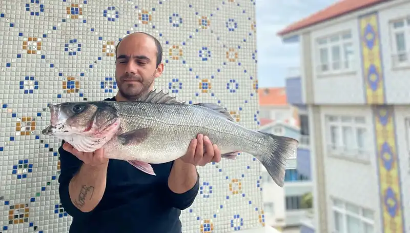 7,5 Kiloluk Dev Levrek: Doğa Sağlığımızı Nasıl Etkiliyor?