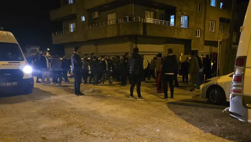 Şırnak'taki Taşlı ve Sopalı Kavga: Psikolojik Etkileri ve Toplum üzerindeki Yansımaları