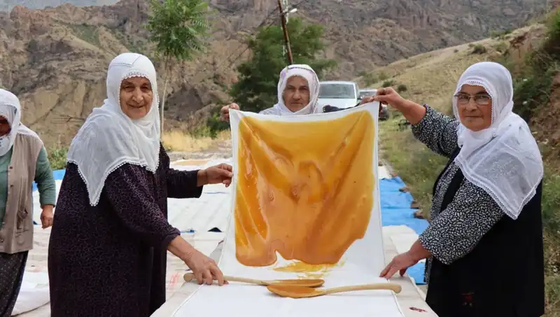 Yaz Aylarının Vazgeçilmezi: Güneşin Altında Kurutulan Sağlıklı Atıştırmalıklar