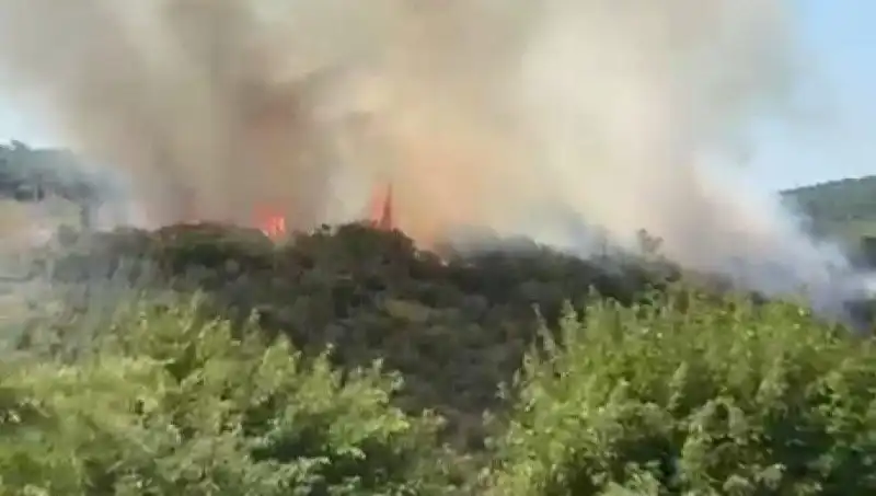 İstanbul'daki Orman Yangını: Psikolojik Etkiler ve Tahliye Süreci
