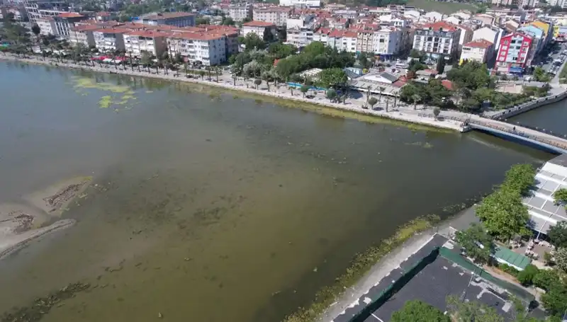Marmara Denizi'nde Tekrar Eden Tehlike: Psikolojik Etkileri ve Önlemler