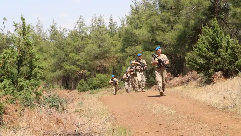 Kilis'teki Orman Yangınları: Psikolojik Etkileri ve Önleme Stratejileri