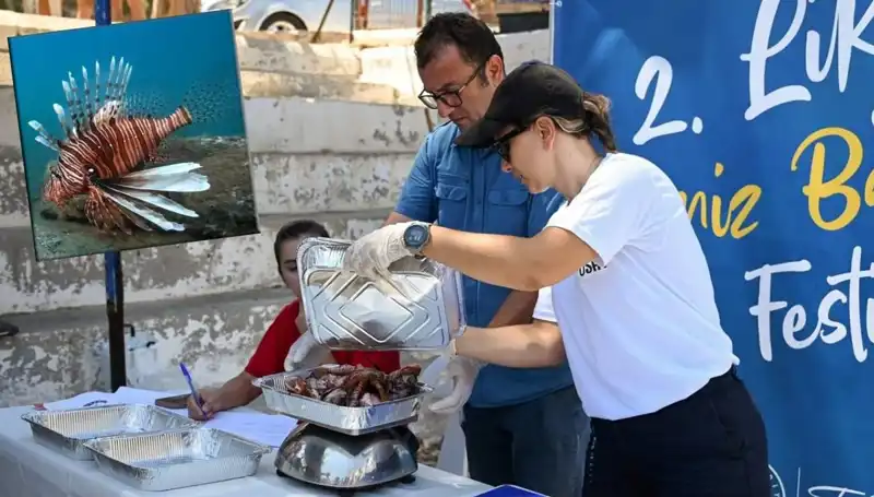 Antalya'da İstilacı Aslan Balığı Avlama Yarışması: Denizlerin Korunması İçin Etkili Bir Adım