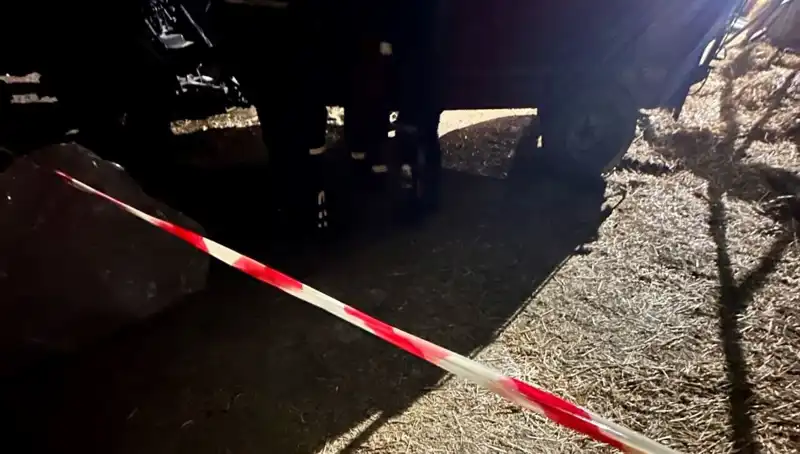 İzmir’de Müzik Yıldızının Trajik Ölümü: Yem Karma Makinesinde Can Verdi