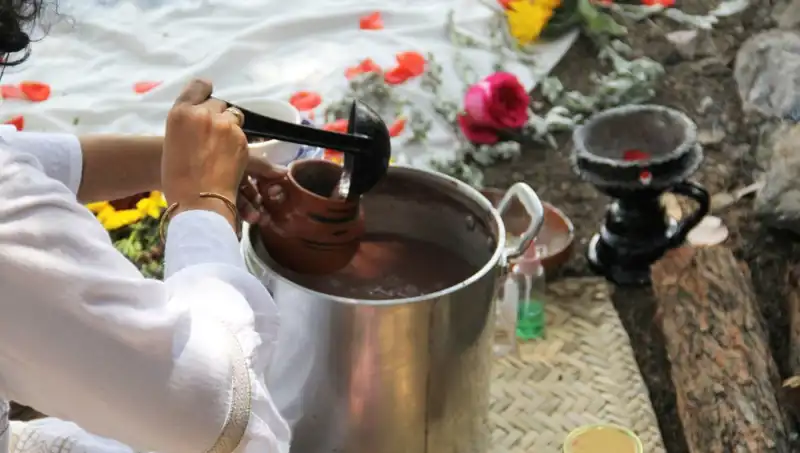 Ayahuasca: Zihin Açıcı Deneyimin Psikolojik Faydaları ve Yasal Durumu