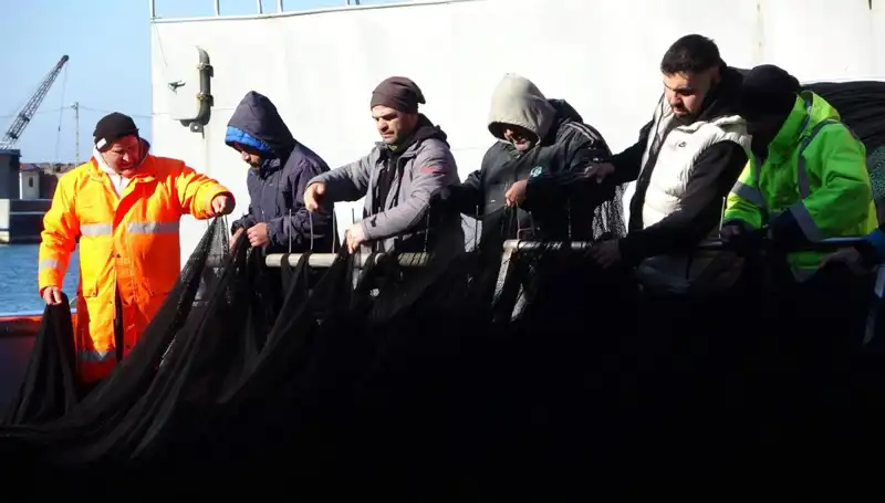 Denizlerde Hamsi Krizi: Balıkçılar Erken Paydos Ediyor, Nedenleri Neler?