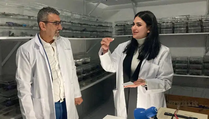Akrep Zehiri Şekerle Birleşti: Psikolojik Etkileri Neler?