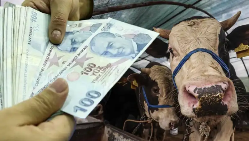 Emekli ve Memur Maaşları Bayram Öncesi Erken Yatacak Mı?