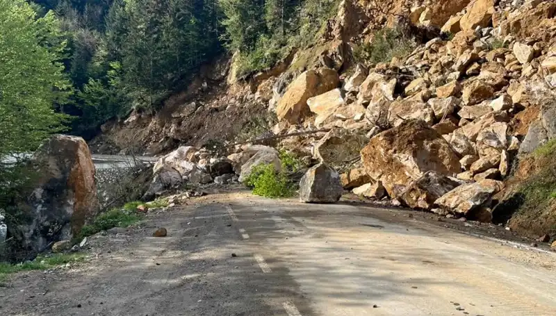 Giresun'da Heyelan: Psikolojik Etkileri ve Toplum Üzerindeki Yansımaları